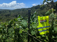 Dokumentation: FAU beim Treffen der Widerstände und Rebellionen 'Algunas Partes del Todo' [de/es]