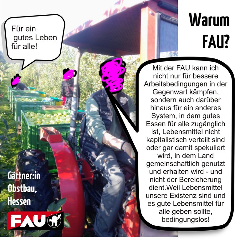 hess.JPG