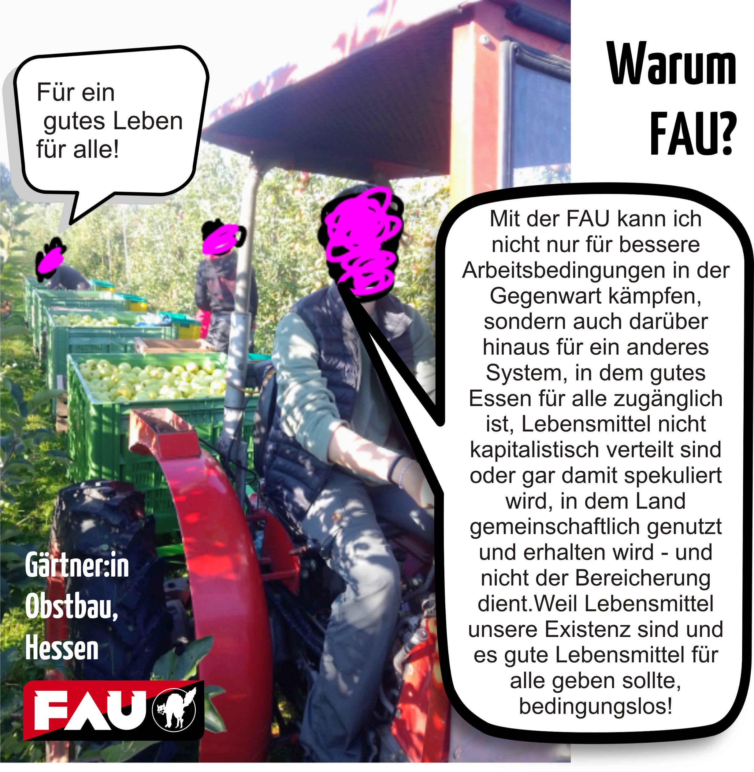 hess.JPG