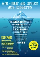 Demo: AfD-Nur die Spitze des Eisbergs!